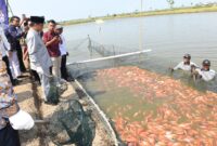 MENDES: NILA SALIN PATI BISA EKSPOR