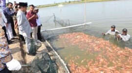 MENDES: NILA SALIN PATI BISA EKSPOR