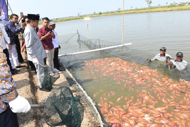 MENDES: NILA SALIN PATI BISA EKSPOR